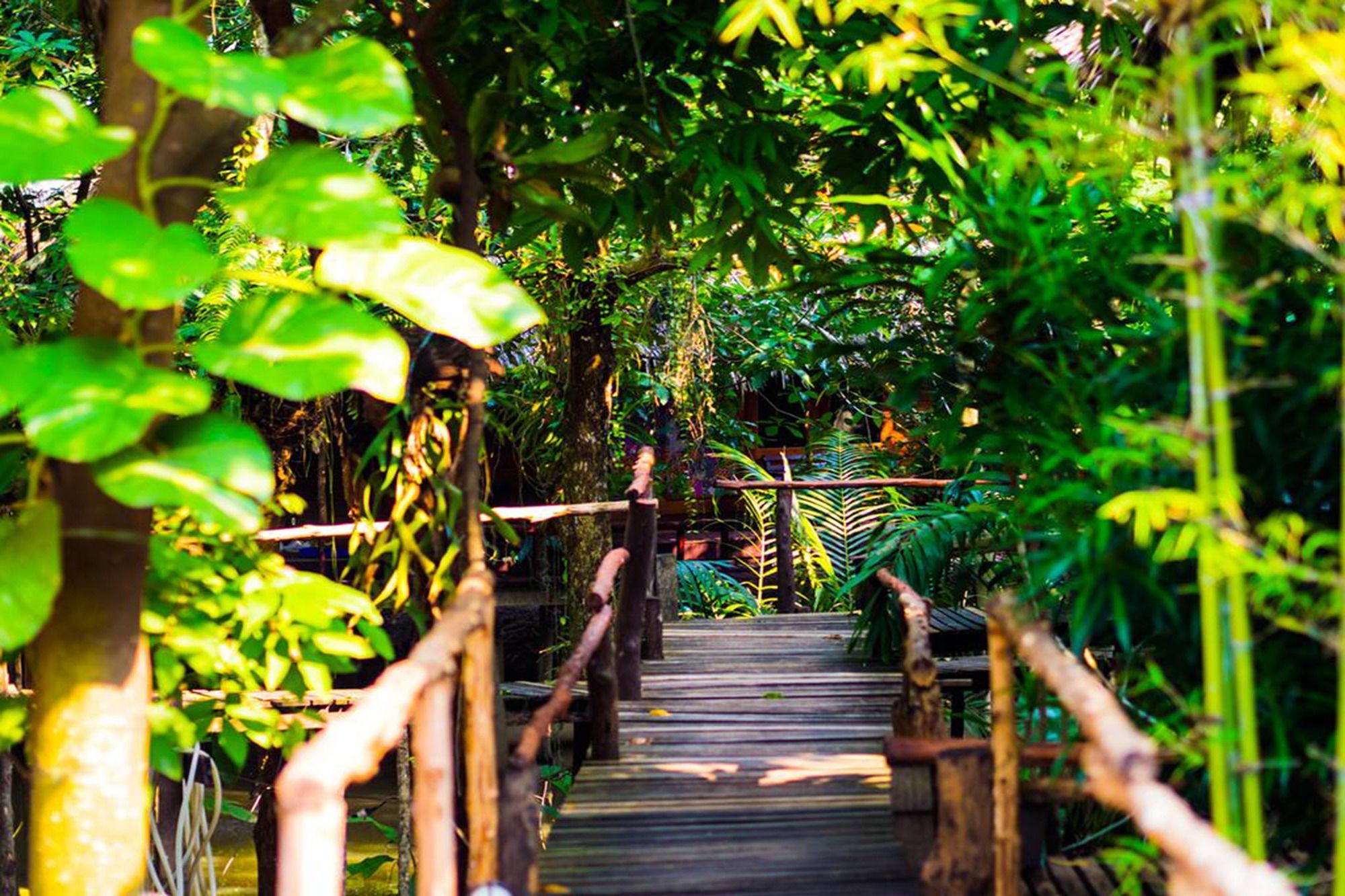 Mayom Garden (Adults Only) Ko Pha Ngan Exterior foto